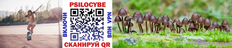 Псилоцибиновые грибы MAGIC MUSHROOMS  Покров 