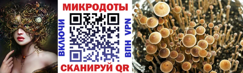 Псилоцибиновые грибы GOLDEN TEACHER Покров
